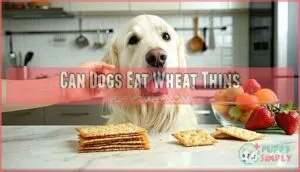 can dogs eat wheat thins