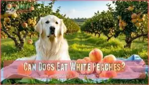 can dogs eat white peaches