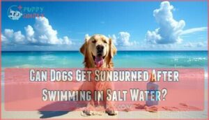 can dogs get sunburned after swimming in salt water