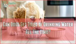 can dogs get tired of drinking water all the time