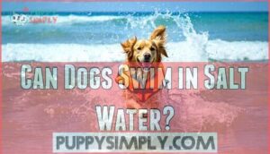 can dogs swim in salt water
