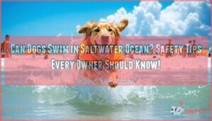 can dogs swim in saltwater ocean