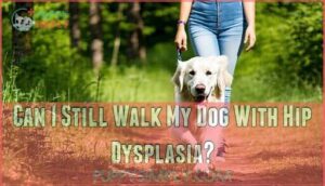 can i still walk my dog with hip dysplasia