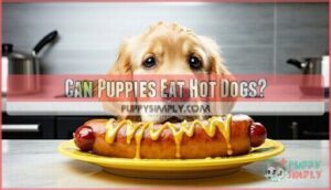 can puppies eat hot dogs