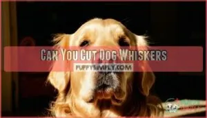 can you cut dog whiskers
