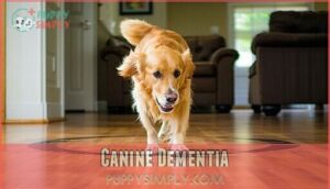 canine dementia