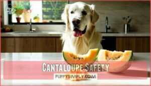 cantaloupe safety