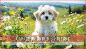 cavachon origin & history