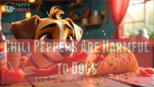 chili peppers are harmful to dogs