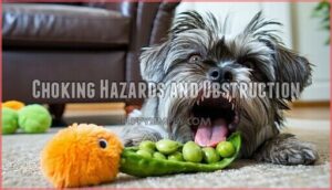 choking hazards and obstruction