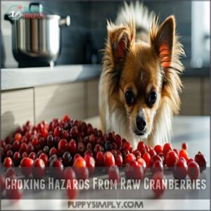 choking hazards from raw cranberries