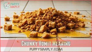 chunky vomit meaning