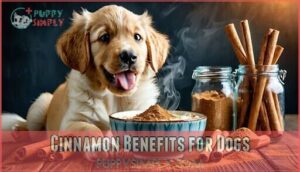 cinnamon benefits for dogs