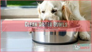 clean water bowls