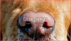 color changes