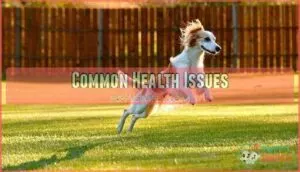 common health issues