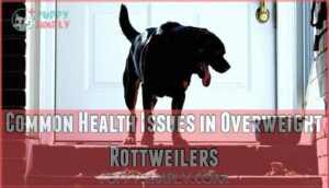 common health issues in overweight rottweilers