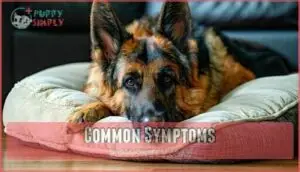 common symptoms