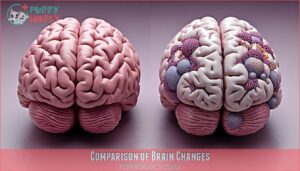 comparison of brain changes