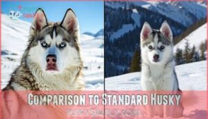 comparison to standard husky