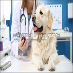 consulting a veterinarian
