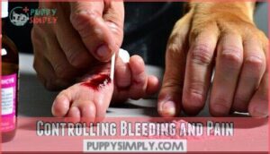 controlling bleeding and pain