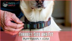 correct size and fit