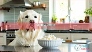 cottage cheese