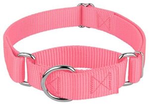 Country Brook Petz Martingale Dog B009WAF8I8
