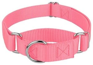 Country Brook Petz Martingale Dog B009WAF8I8