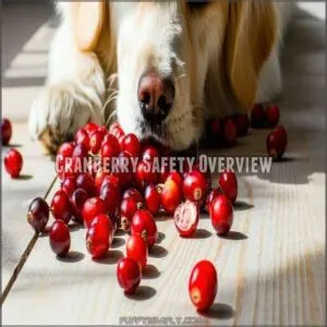 cranberry safety overview