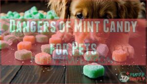 dangers of mint candy for pets