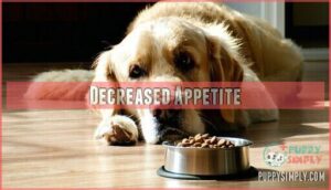 decreased appetite
