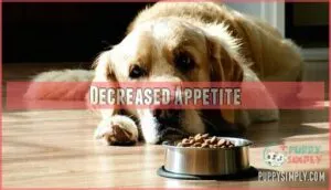 decreased appetite