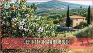 definition and origin