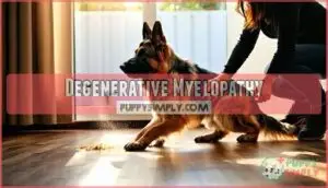 degenerative myelopathy