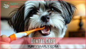 dental care