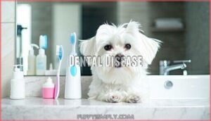 dental disease