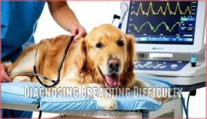 diagnosing breathing difficulty