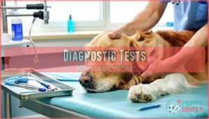 diagnostic tests