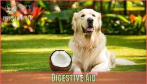 digestive aid