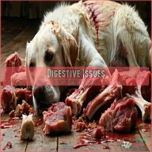 digestive issues digestive issues