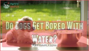 do dogs get bored with water
