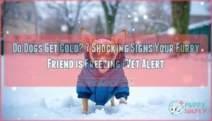 do dogs get cold