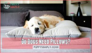 do dogs need pillows