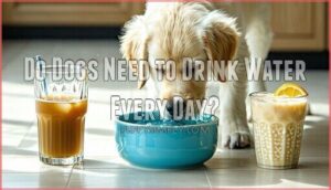 do dogs need to drink water every day