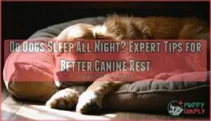 do dogs sleep all night