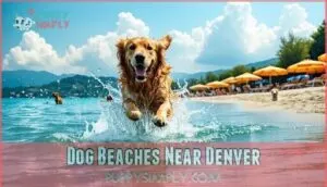 dog beaches near denver