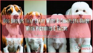 dog breeds that start with b