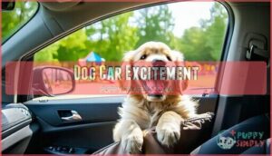 dog car excitement